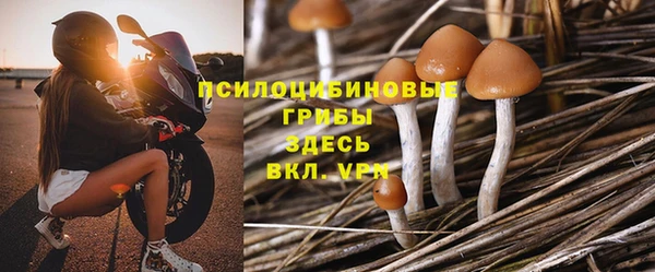 каннабис Алзамай